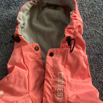 Куртка для собак Zoozavr розовая 40: отзыв пользователя. Зоомагазин Зоозавр