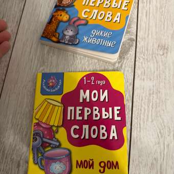 Книжка для малышей BimBiMon Мои первые слова. Домашние животные: отзыв пользователя Детский Мир