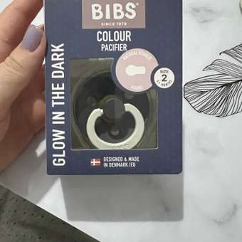 Соска-пустышка BIBS Ночная Colour Iron Glow 6+ месяцев: отзыв пользователя Детский Мир