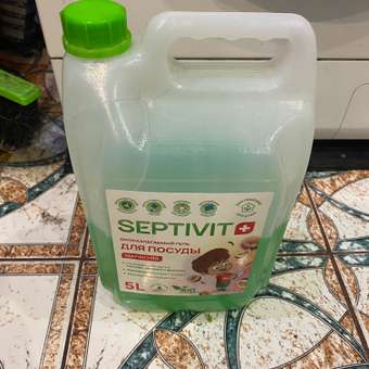 Средство для мытья посуды SEPTIVIT Маракуйя 5л: отзыв пользователя Детский Мир