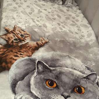 Комплект постельного белья Mona Liza 1.5сп SL I Love my Cat 50*70 сатин: отзыв пользователя Детский Мир