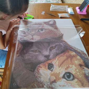 Алмазная мозаика Art on Canvas в ассортименте: отзыв пользователя Детский Мир