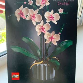 Конструктор LEGO Botanicals Orchid блочный: отзыв пользователя Детский Мир