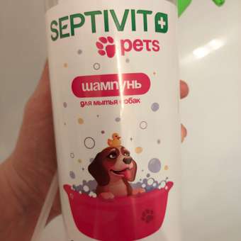 Шампунь для собак SEPTIVIT Premium 1 л: отзыв пользователя. Зоомагазин Зоозавр