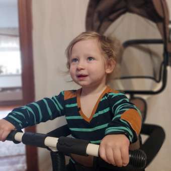 Детский велосипед Tomix Baby Trike: отзыв пользователя Детский Мир