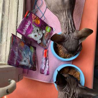 Корм для кошек Whiskas Мясная коллекция с говядиной 75г: отзыв пользователя. Зоомагазин Зоозавр