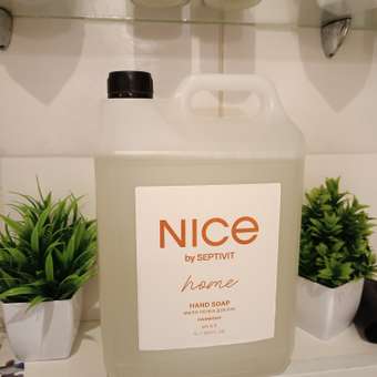 Мыло жидкое NICE by Septivit Дыня 5450 г 5000 мл: отзыв пользователя Детский Мир
