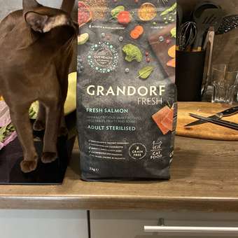Корм для кошек GRANDORF FRESH Fresh Cat Sterilised Salmon/Sweet Potato 2кг свежее филе лосося с бататом для стерил-ых беззерн с жив пр: отзыв пользователя Детский Мир