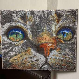 Алмазная мозаика Art on Canvas Кошачий взгляд в ассортименте: отзыв пользователя Детский Мир