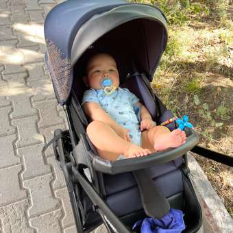 Коляска прогулочная Olsson Jazz Dark Blue: отзыв пользователя Детский Мир