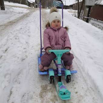 Снегокат Ника Тимка спорт Пинг ТС6-ДМ/Б2: отзыв пользователя Детский Мир