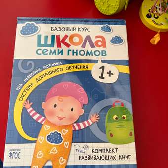 Комплект книг Базовый курс Школа Семи Гномов 1+ (6 книг +развивающие игры для детей 1-2лет): отзыв пользователя Детский Мир