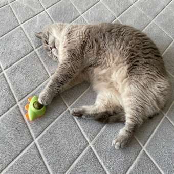 Игрушка Sima-Land для кошек «НЛО» из кошачьей мяты зеленый цвет: отзыв пользователя. Зоомагазин Зоозавр