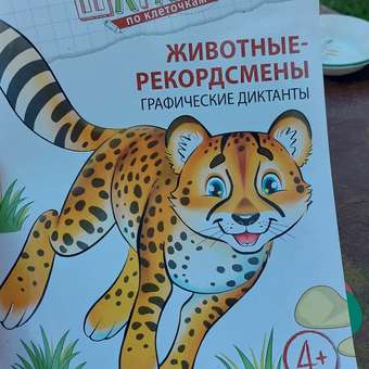 Набор книг ТЦ Сфера Шагаем по клеточкам: отзыв пользователя Детский Мир