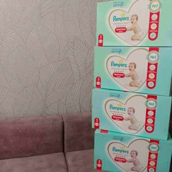 Подгузники-трусики Pampers Premium Care Pants 3 6-11кг 96шт: отзыв пользователя Детский Мир