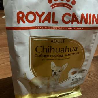 Корм для собак ROYAL CANIN породы чихуахуа 500г: отзыв пользователя. Зоомагазин Зоозавр