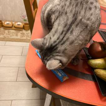 Лакомство для кошек Мнямс 10шт лакомые палочки с форелью и лососем: отзыв пользователя. Зоомагазин Зоозавр