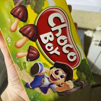 Печенье CHOCO-BOY с молочным шоколадом 45г: отзыв пользователя ДетМир
