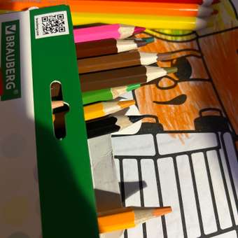 Карандаши цветные Brauberg деревянные для рисования утолщенные 24 цвета: отзыв пользователя Детский Мир