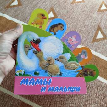 Книга АСТ Мамы и малыши: отзыв пользователя Детский Мир
