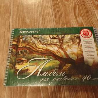 Альбом Brauberg А4 2 шт.: отзыв пользователя Детский Мир