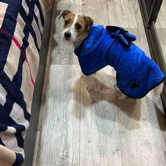 Полотенце-халат для собак Zoozavr 40см Синий: отзыв пользователя Детский Мир