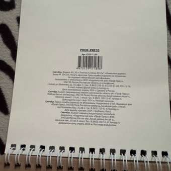 Скетчбук Prof-Press Лимонное дерево 50л А5 СБ50-7189: отзыв пользователя Детский Мир