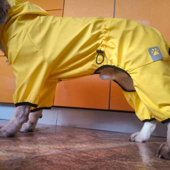 Комбинезон- дождевик для собак Зоозавр: отзыв пользователя Детский Мир