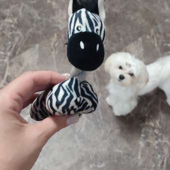 Игрушка для собак Triol Mini dogs мелких пород мягкая Зебра 11см: отзыв пользователя. Зоомагазин Зоозавр