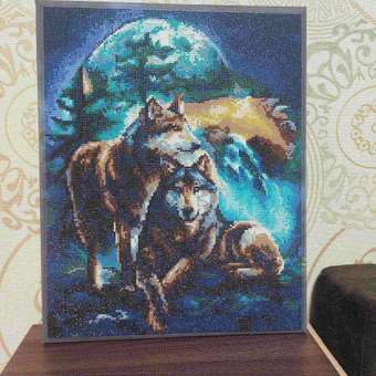 Алмазная мозаика Art on Canvas Лунная ночь холст на подрамнике 40х50 см: отзыв пользователя Детский Мир