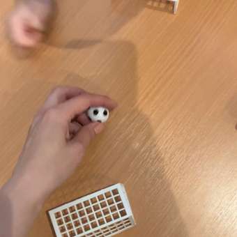 Настольная игра Shantou Chenghai Hongyuansheng: отзыв пользователя Детский Мир