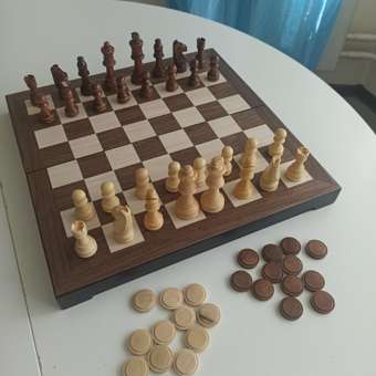 Игра настольная Spin Master Шахматы Делюкс 6053185: отзыв пользователя Детский Мир