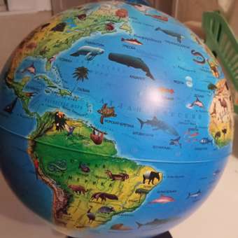 Глобус Globen Зоогеографический детский диаметром 25 см: отзыв пользователя Детский Мир