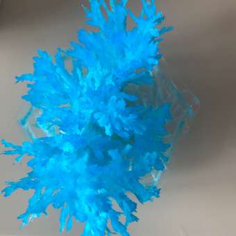 Набор для опытов Kiki Космо кристаллы Синяя галактика домашняя лаборатория: отзыв пользователя Детский Мир