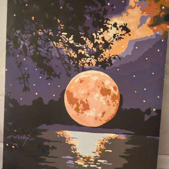 Картина по номерам Art sensation AR041 Лунная ночь: отзыв пользователя Детский Мир