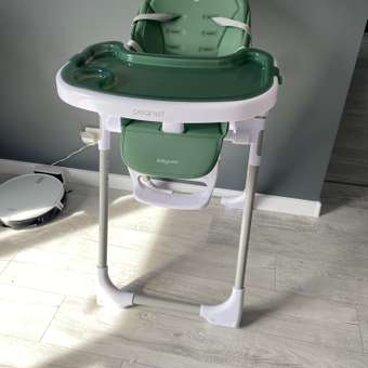 Стульчик для кормления BabyCare Peanut классический: отзыв пользователя Детский Мир