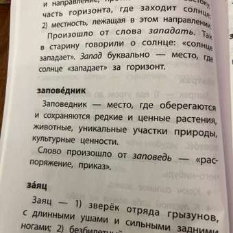 Книга Феникс Школьный словарь 5 в одном: 1-4 классы: отзыв пользователя Детский Мир