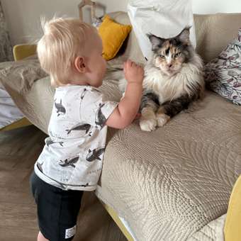 Шорты Baby Gо: отзыв пользователя ДетМир