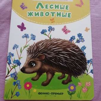 Книга Феникс Премьер Лесные животные. Стихи для малышей: отзыв пользователя Детский Мир