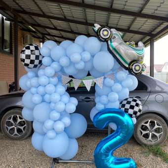 Набор воздушных шаров Мишины шарики для фотозоны 129 шт: отзыв пользователя Детский Мир