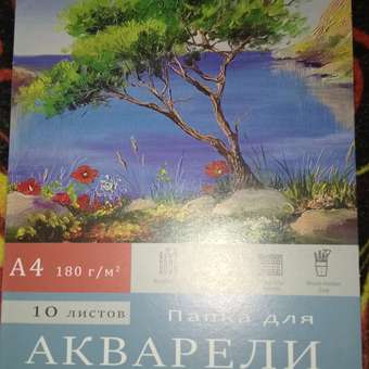 Папка для акварели Prof-Press Дерево на обрыве А4 10 листов 180г/м2: отзыв пользователя Детский Мир