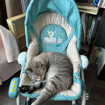 Шезлонг Babyton Blue: отзыв пользователя Детский Мир
