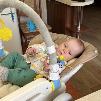 Стульчик для кормления Babyton Coffee классический: отзыв пользователя Детский Мир