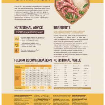 Сухой корм для собак CARNICA 0.8 кг ягненок (полнорационный): отзыв пользователя. Зоомагазин Зоозавр