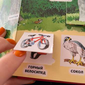 Книга Эксмо В лесу 100 окошек для малышей: отзыв пользователя Детский Мир
