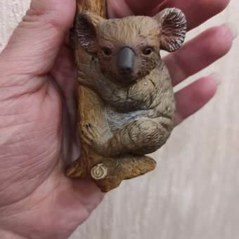 Фигурка Collecta Коала: отзыв пользователя Детский Мир