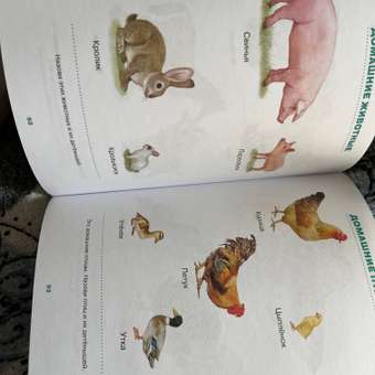 Книга Махаон Первая книга знаний Необходимый набор тем для занятий с ребенком от 6мес до 3лет: отзыв пользователя ДетМир