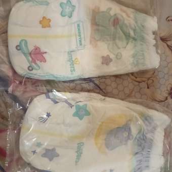 Трусики Pampers Pants для мальчиков 4 (9-15 кг) 2 шт.: отзыв пользователя Детский Мир