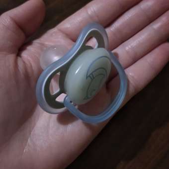 Пустышка Philips Avent силикон от 6 мес. 2 шт.: отзыв пользователя Детский Мир