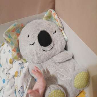 Игрушка Fisher Price Коала: отзыв пользователя Детский Мир